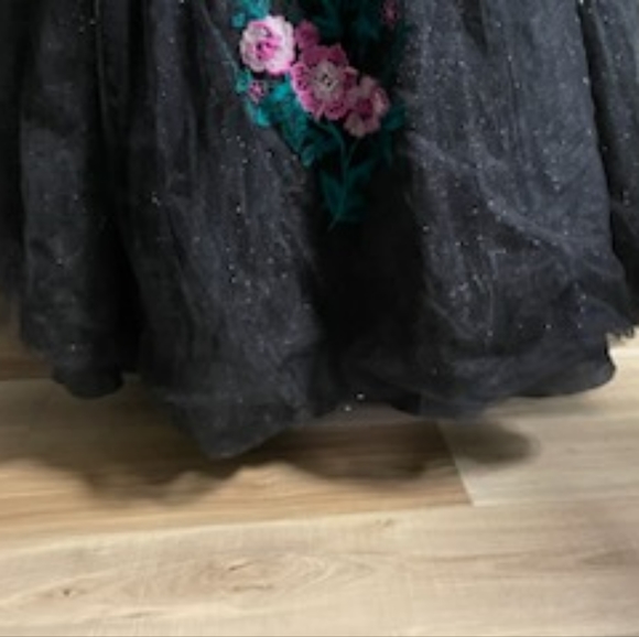 EUC 💗 15 Roses 💗Quincenera dress 🖤 Beautiful Princess Ball Gown, size 2 - Picture 9 of 14